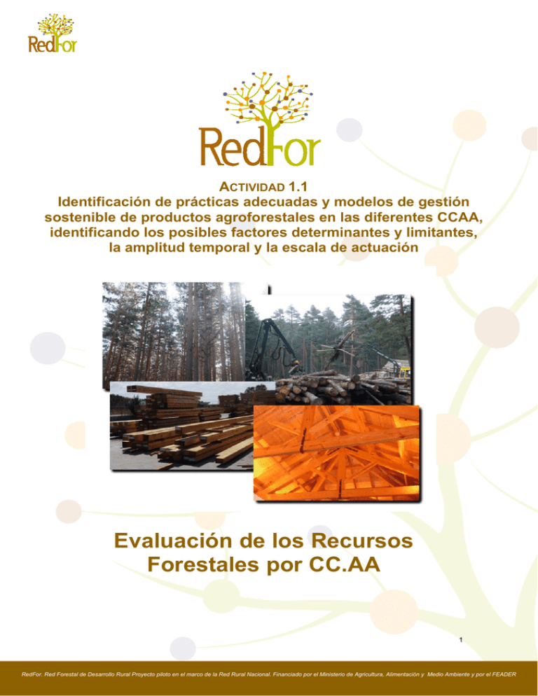 Evaluación de los recursos forestales por CCAA