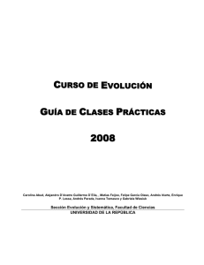 Guía de clases prácticas 2008