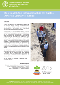 Boletín del Año Internacional de los Suelos América Latina y el Caribe