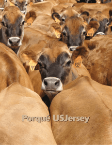 08_Why Jerseys Spanish.pmd - American Jersey Cattle Association