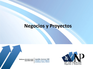 brochure - Negocios y Proyectos