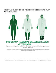 módulo 10: equipo de protección personal para veterinarios