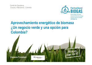 Biomasa un negocio verde