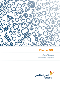 Plantas GNL - Itinerario Formativo GNF