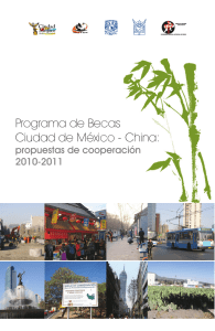 Programa de Becas Ciudad de México - China