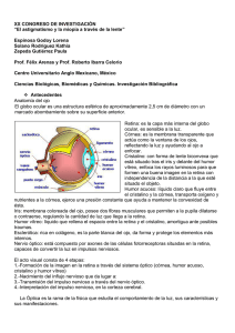 El astigmatismo y la miopía a través de la lente
