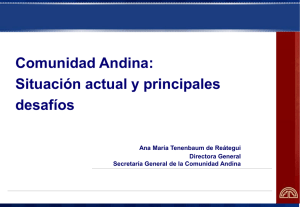 Comunidad Andina: Situación actual y principales desafíos