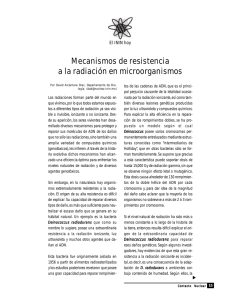 Mecanismos de resistencia a la radiación en microorganismos