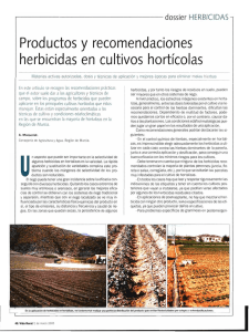 Productos y recomendaciones herbicidas en cultivos hortícolas