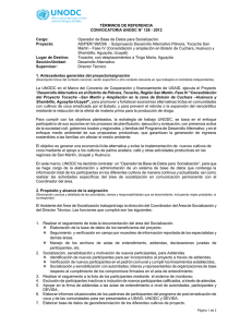 TÉRMINOS DE REFERENCIA CONVOCATORIA UNODC N° 128