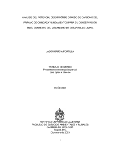 Final Trabajo de grado - Pontificia Universidad Javeriana