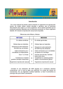 Introducción MITOSIS MEIOSIS 1 2 3 4 5 6 7
