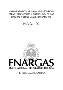 NAG 100 - Ente Nacional Regulador del Gas