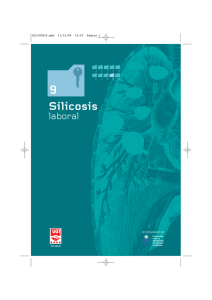 Silicosis - Laboratorio Observatorio de Enfermedades Profesionales