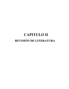 03 REC 100 CAPITULO II