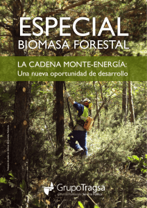 Especial Biomasa Forestal