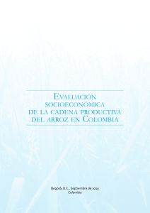 Estudio Socioeconomico del Arroz en Colombia
