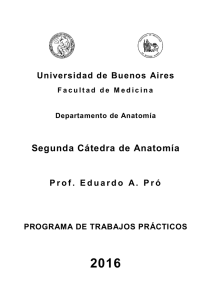 Departamento de Anatomía - Facultad de Medicina