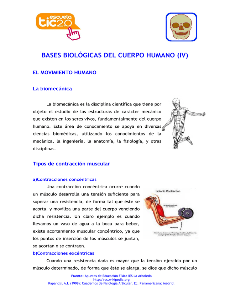 Bases Biol Gicas Del Cuerpo Humano Iv