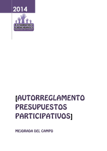 Autorreglamento del proceso en Mejorada del Campo 2014