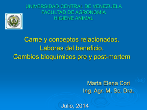 Diapositiva 1 - Universidad Central de Venezuela