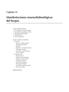 Capítulo 14 Manifestaciones neurooftalmológicas del herpes