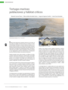 Tortugas marinas: poblaciones y hábitat críticos