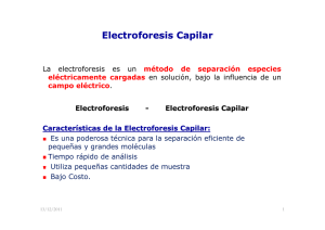 Electroforesis Capilar 2011 - U