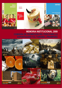 memoria institucional 2009