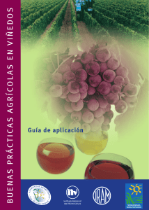 Guía Buenas Prácticas Agrícolas en viñedos