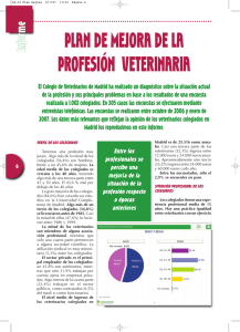 plan de mejora de la profesión veterinaria