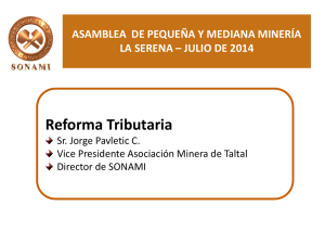Propiedad Minera Sra. Zulema Soto Tapia Presidenta Asociación