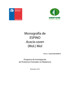 Monografía de ESPINO Acacia caven (Mol.) Mol - Biblioteca