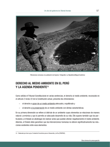 derecho al medio ambiente en el perú y la agenda pendiente13