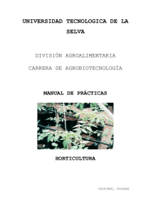 25.2 Manual de prácticas Horticultura.