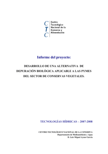 Informe del proyecto: DESARROLLO DE UNA ALTERNATIVA DE