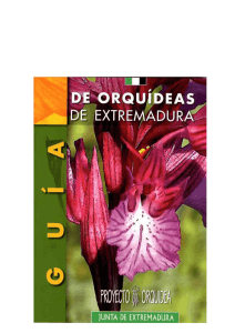 Orquídeas de Extremadura