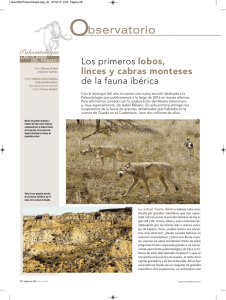 Los primeros lobos, linces y cabras monteses de la fauna