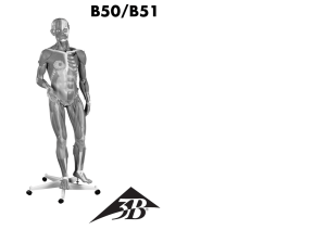 B50/B51
