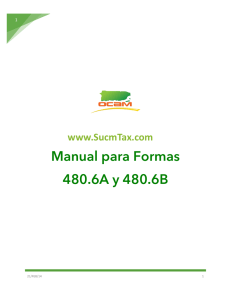 Manual 480 - informativas planillas 2013