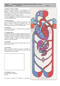 Sistema circulatorio 1