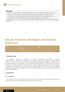 Estudio Anatomo-fisiologico del Sistema Endocrino
