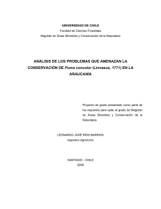 ANÁLISIS DE LOS PROBLEMAS QUE AMENAZAN LA