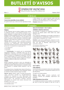 Boletín nº 2 febrero 2015 - Conselleria de Agricultura, Medio