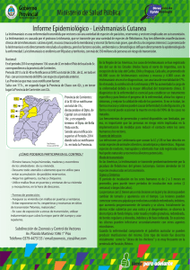 Informe Leishmaniasis Cutanea