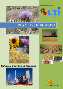plantas de biomasa