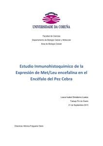 Estudio inmunohistoquímico de la expresión de Met/Leu encefalina