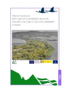 Plan de Gestión Río Tajo en Castrejón, islas de Malpica de Tajo y