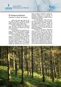 Celulosa_files/Celulosa el papel del bosque