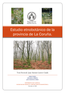 Estudio etnobotánico de la provincia de La Coruña.